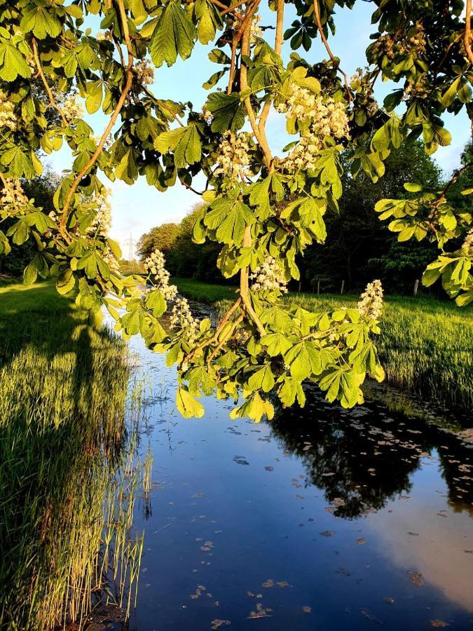 Ferienwohnung Daliah Wangels Kültér fotó